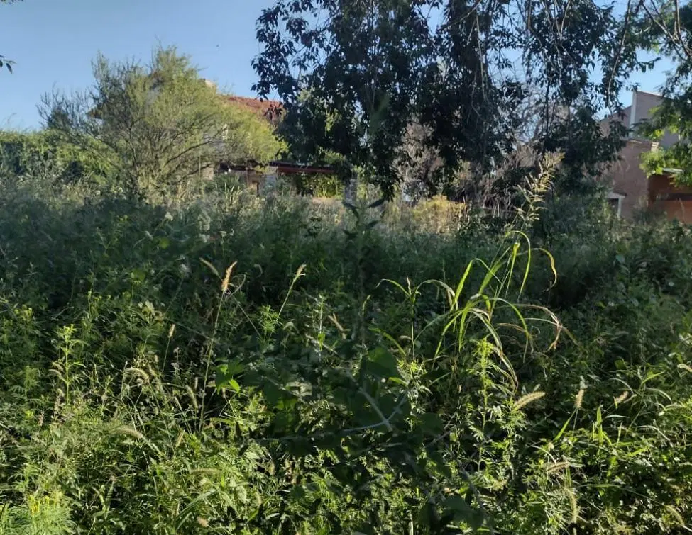 TERRENO EN PLAYAS DE ORO 1