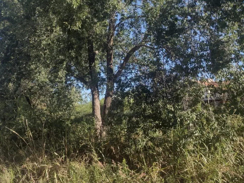 TERRENO EN PLAYAS DE ORO 5