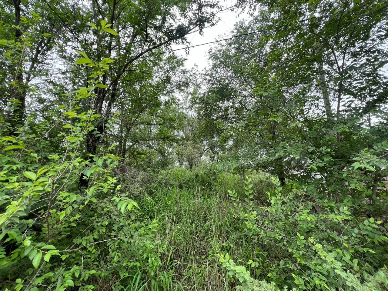 Terreno A 1,5 KM DEL RIO COSQUIN EN MIRADOR DEL LAGO 3