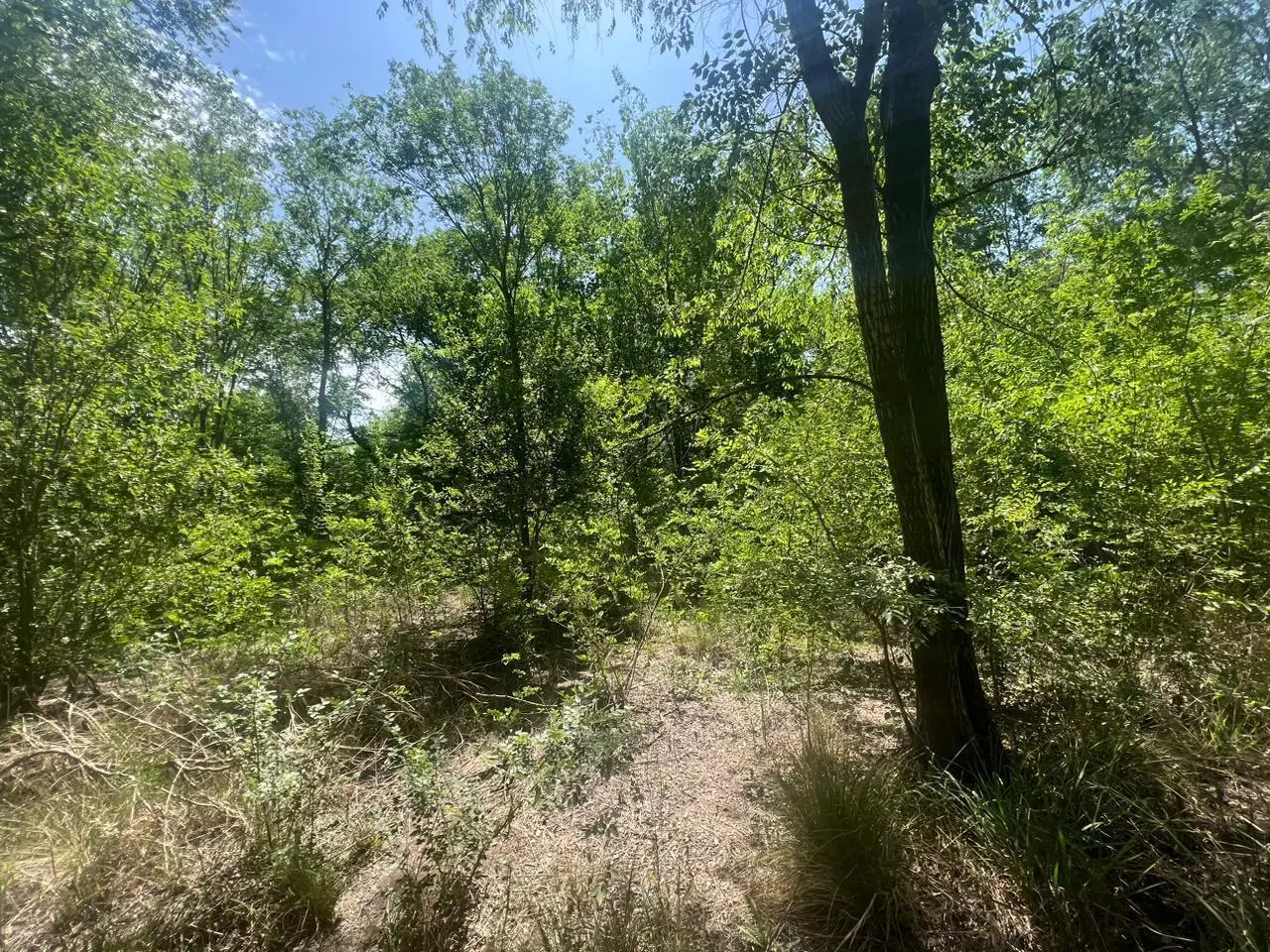 TERRENO EN SAN ROQUE A 200 MTS DEL LAGO 2