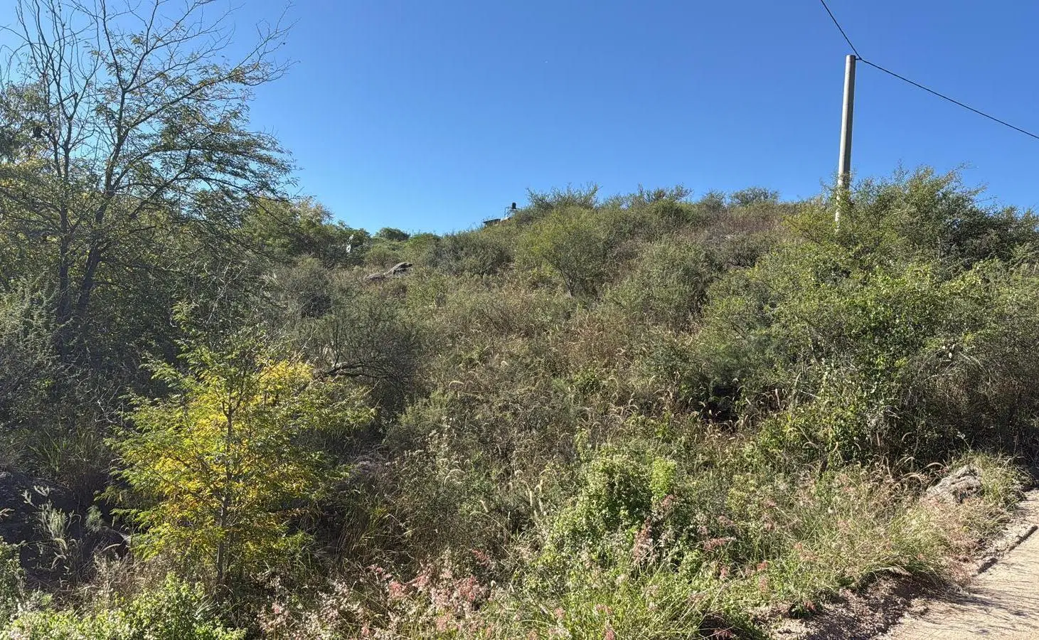 Terreno EN BIALET MASSÉ CON VISTA A LAS SIERRAS 5