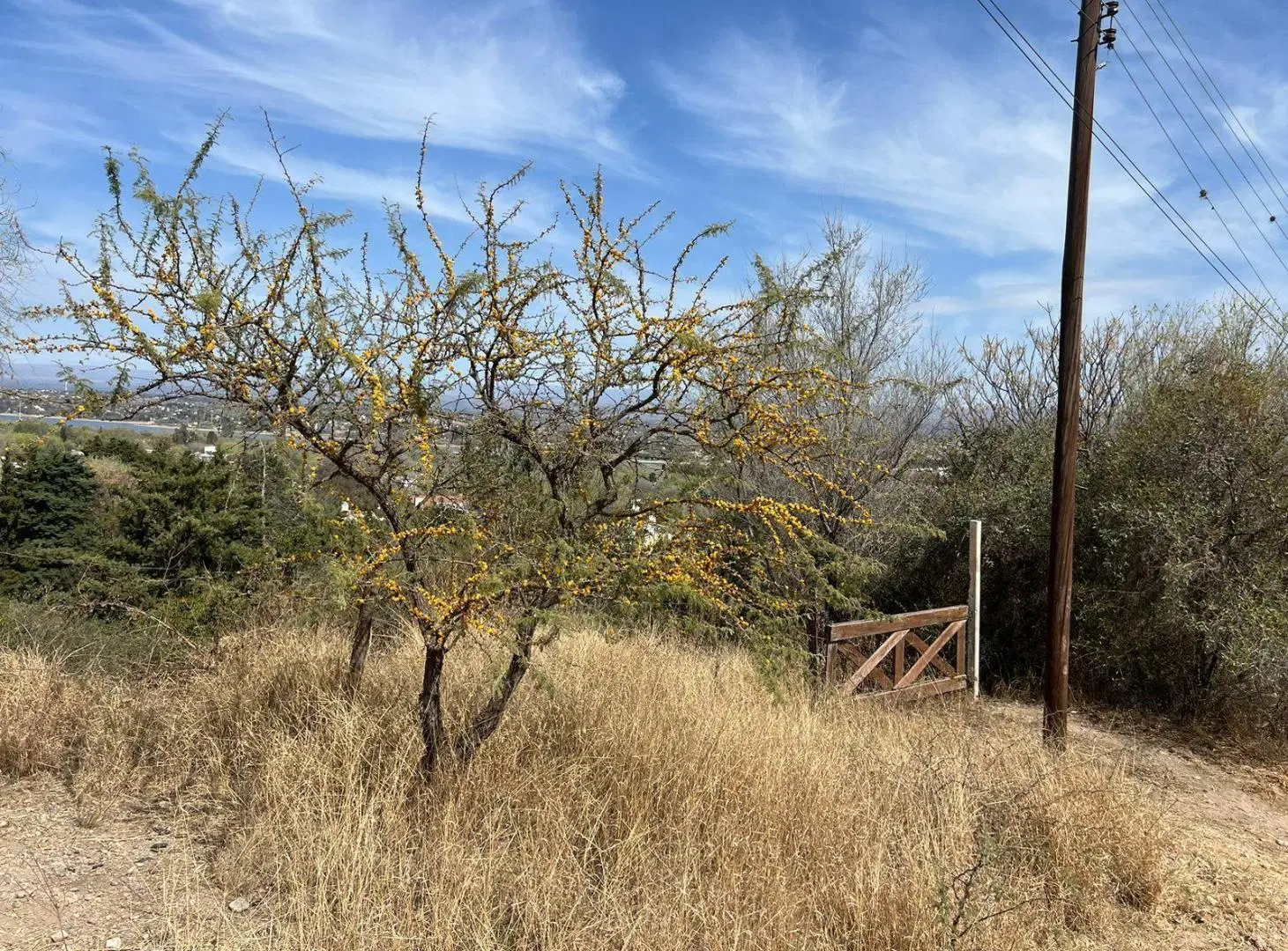 Terreno EN BIALET MASSÉ CON VISTA AL LAGO SAN ROQUE 3