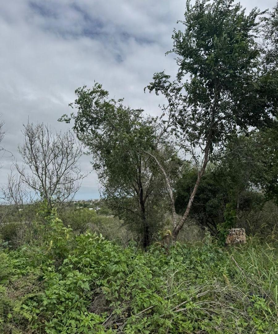 Foto de Terreno PLANO EN BIALET MASSÉ, imagen 3