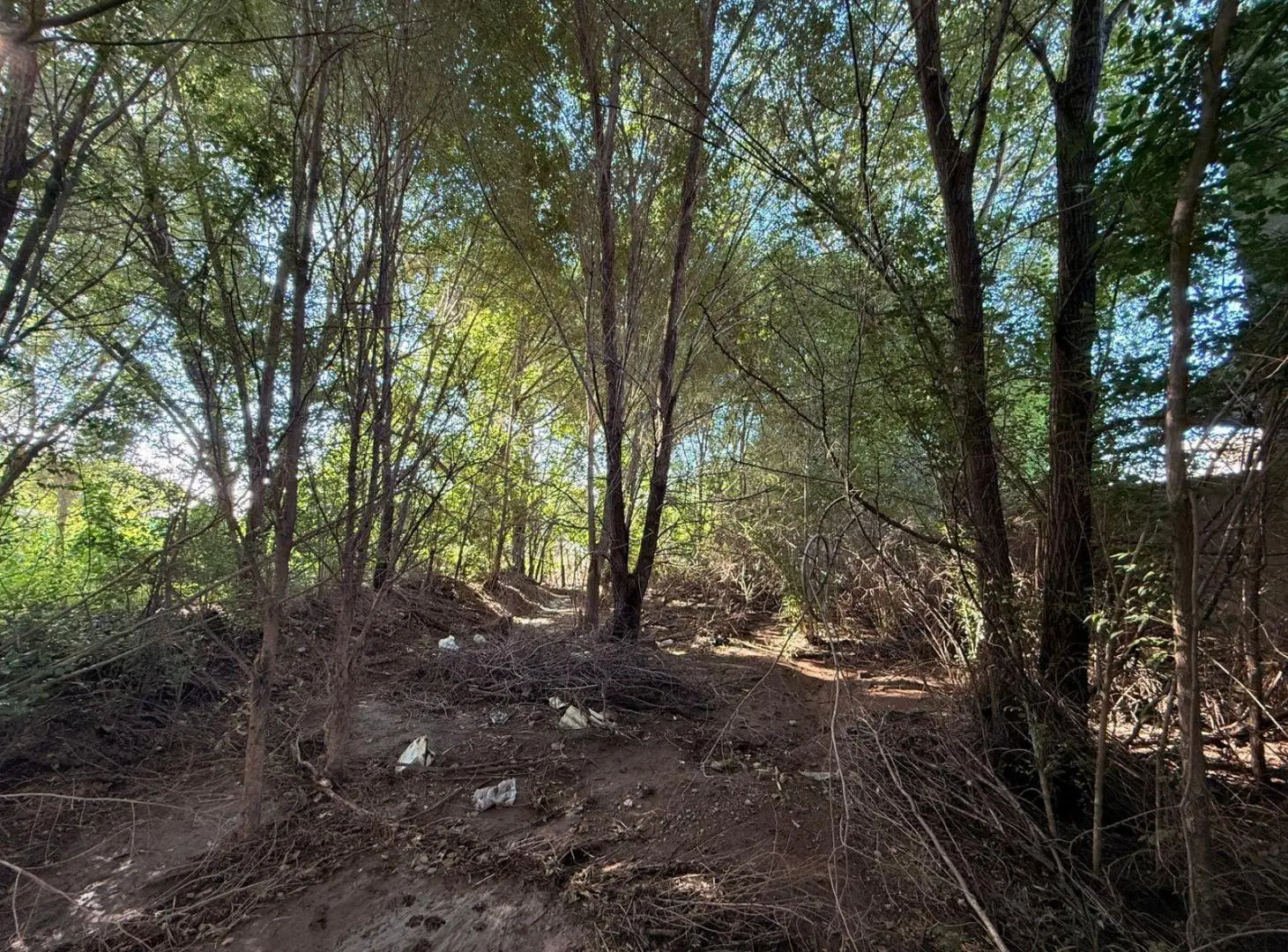 TERRENO EN VENTA SAN ROQUE CERCA DE RUTA e 55 oportunidad 4