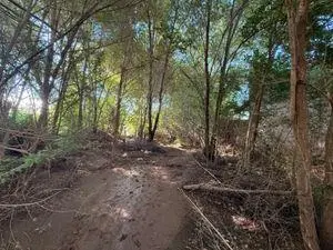 TERRENO EN VENTA SAN ROQUE CERCA DE RUTA e 55 oportunidad 3