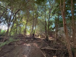 Foto de TERRENO EN VENTA SAN ROQUE CERCA DE RUTA e 55 oportunidad, imagen 5