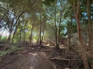 TERRENO EN VENTA SAN ROQUE CERCA DE RUTA e 55 oportunidad 5