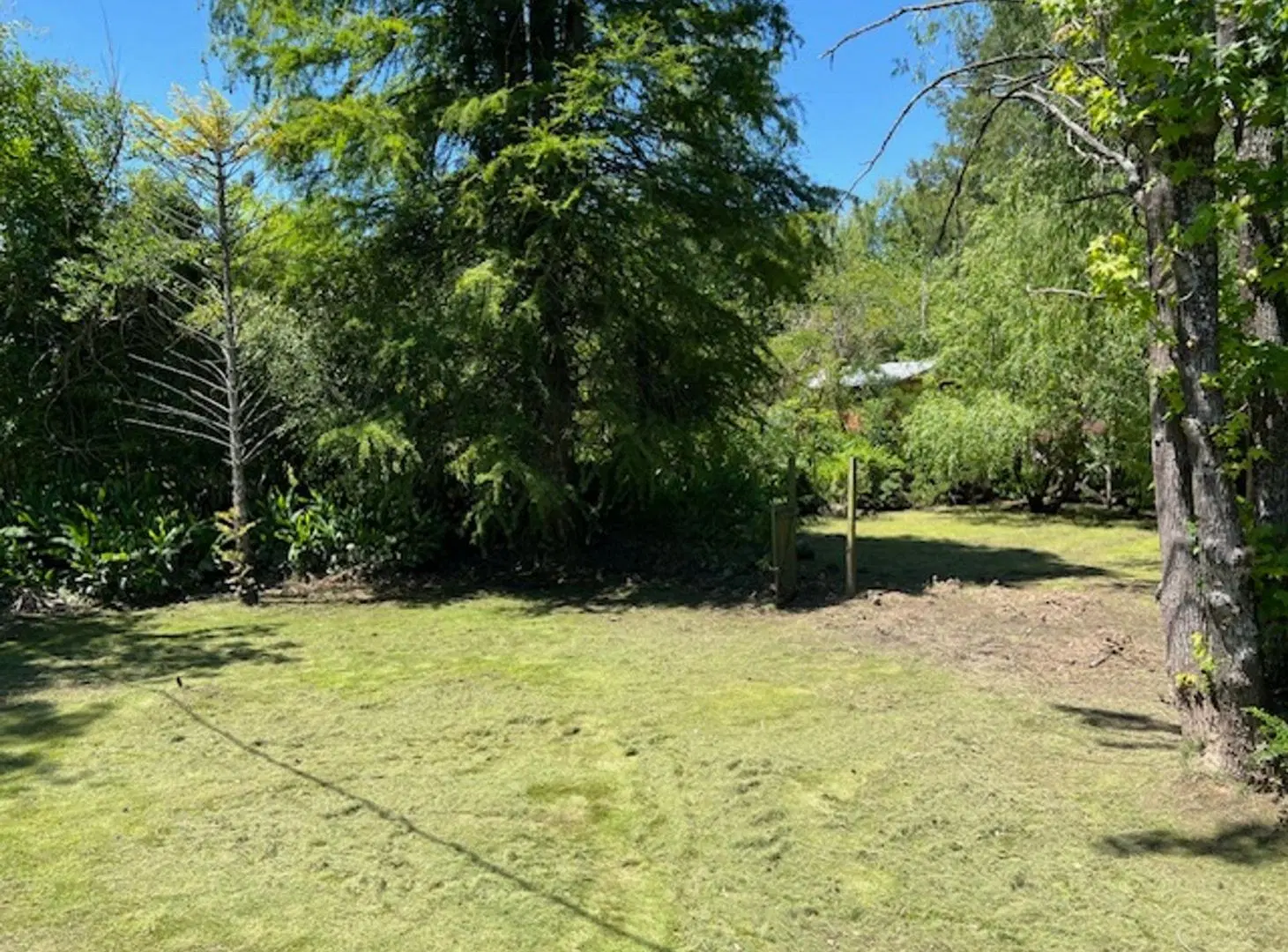 VENTA LOTE 2 CABAÑAS 2 Y 3 AMB ISLA DELTA TIGRE 5