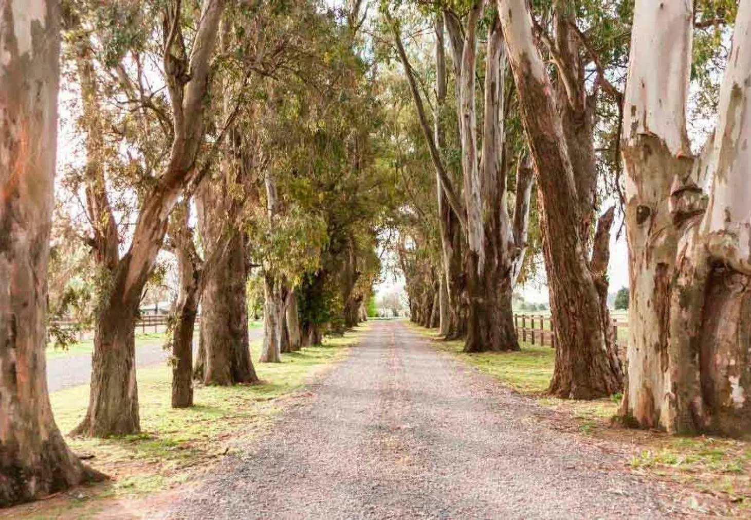 VENTA LOTE  CLUB CAMPO FINCAS EXCLUSIVAS CARDALES 3