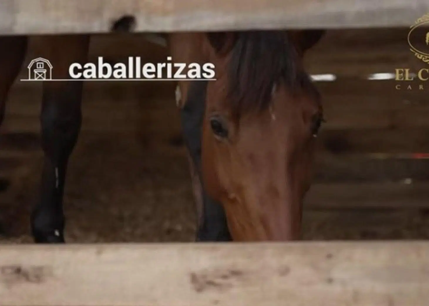 VENTA LOTE  CLUB CAMPO FINCAS EXCLUSIVAS CARDALES 4