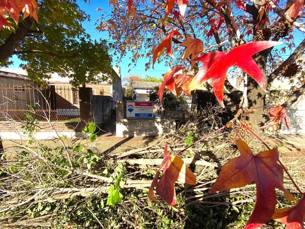 VENTA CASA EN EL CENTRO DE MORENO 8