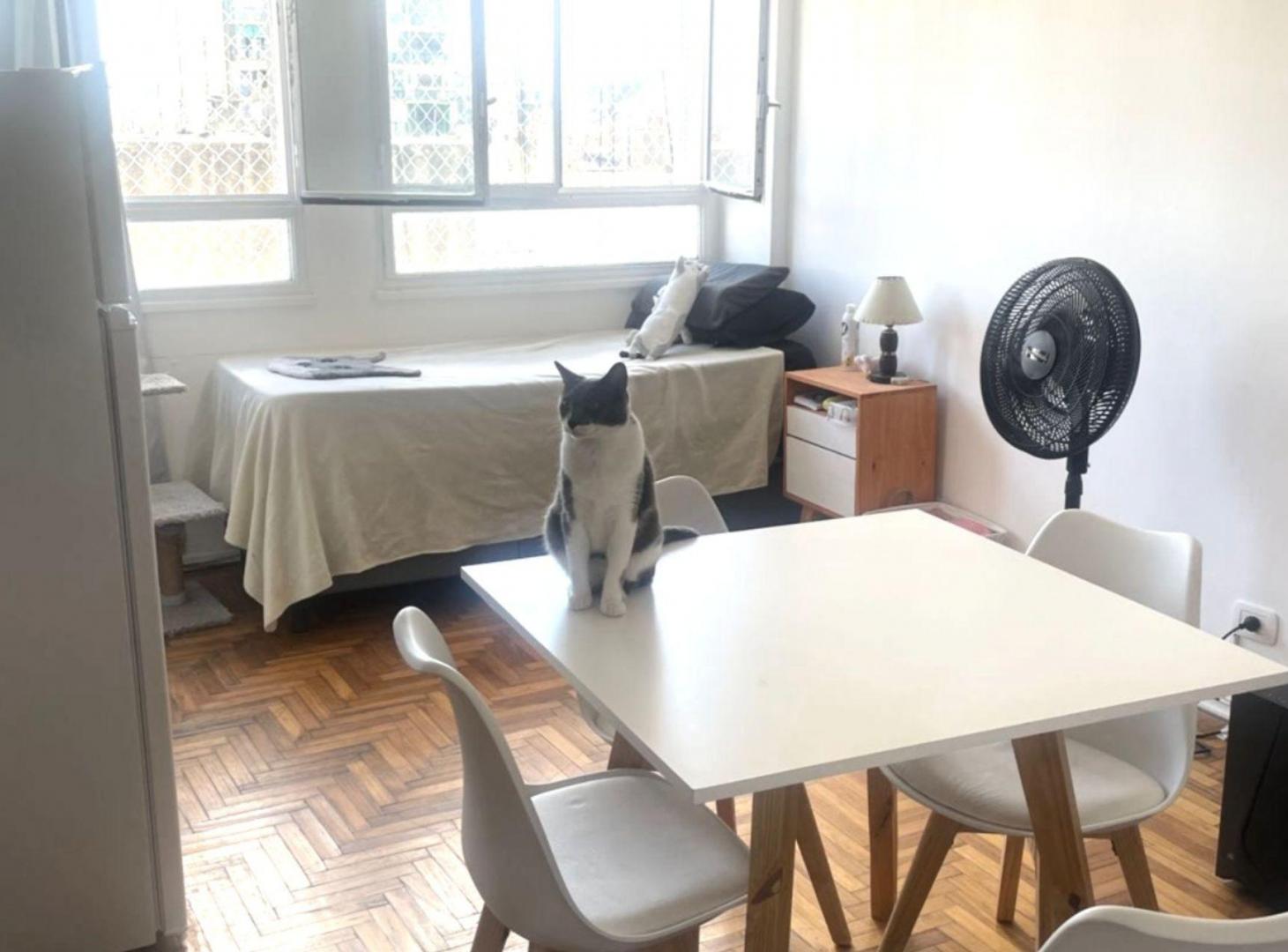 Foto de DEPARTAMENTO 1 AMBIENTE. CONGRESO., imagen 4