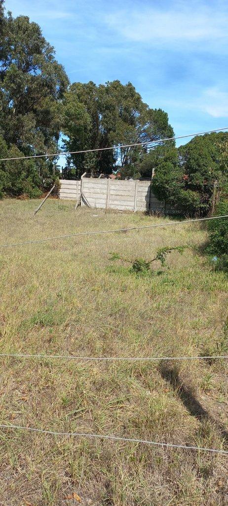Terreno en Venta Quequén, Partido de Necochea 4