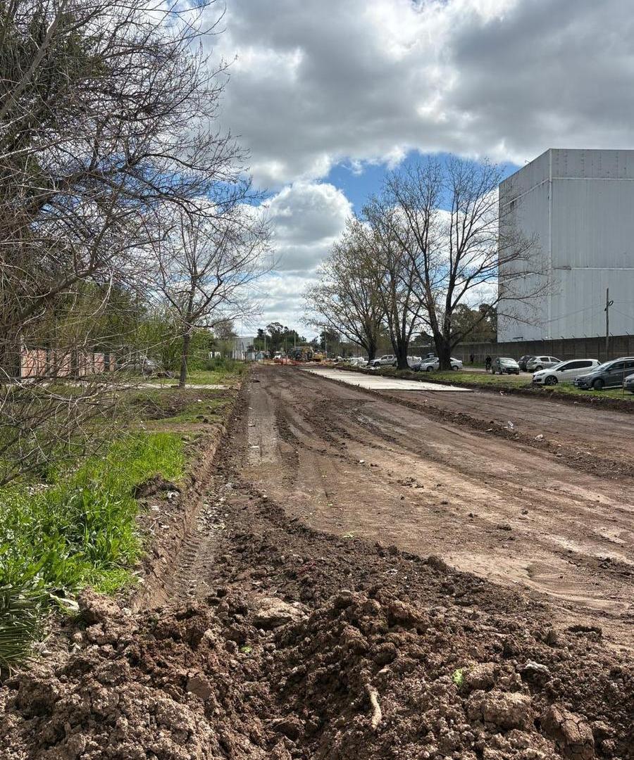 Foto de Propiedad sobre lote de 250 m² en Av. Teresa Mastellone – General, imagen 3