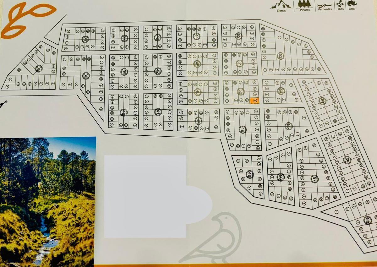 Foto de Terreno en VENTA de 600 m2 en la TORCACITA, imagen 2
