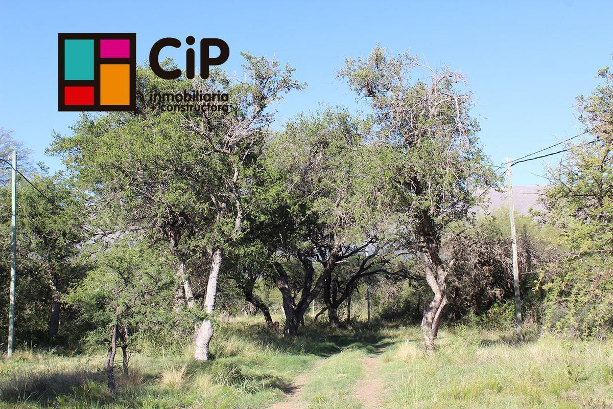 Foto de Terreno en venta en Merlo, imagen 3
