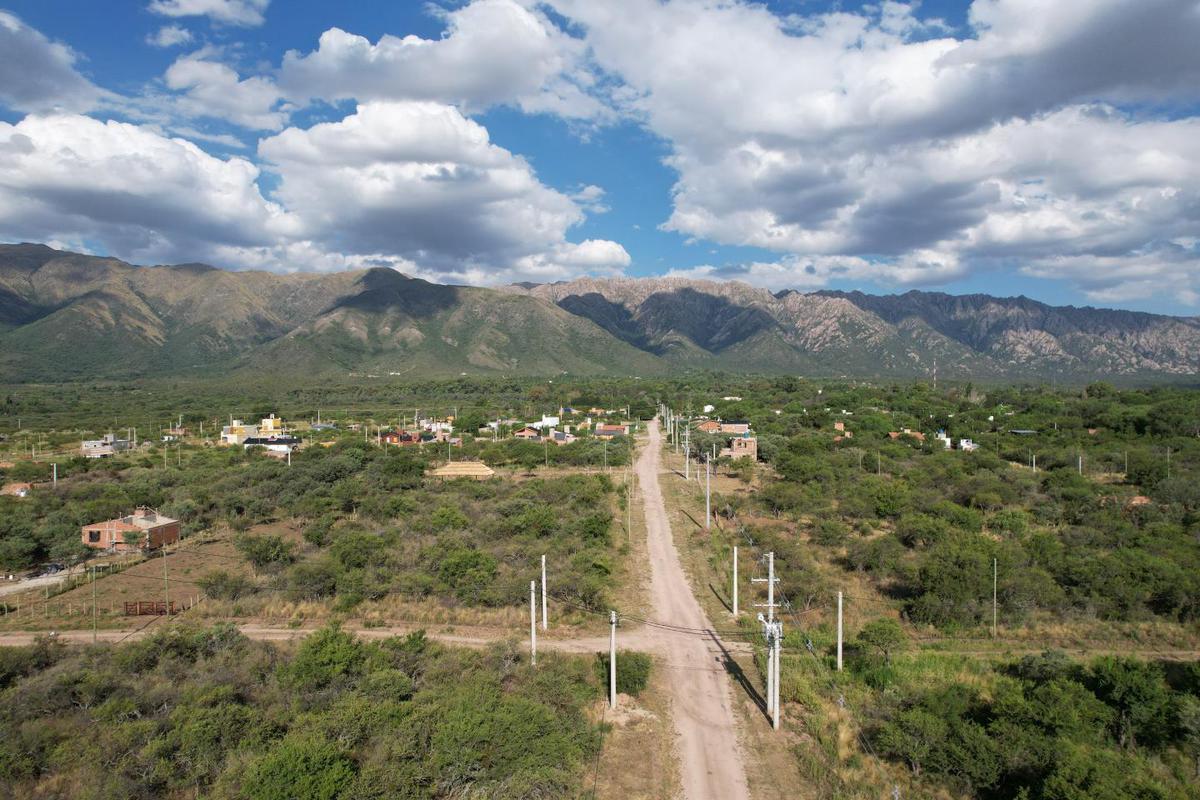 Terreno - Cortaderas