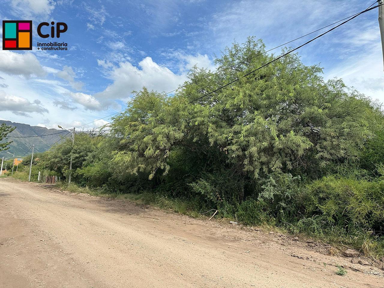 Terreno en Carpinteria