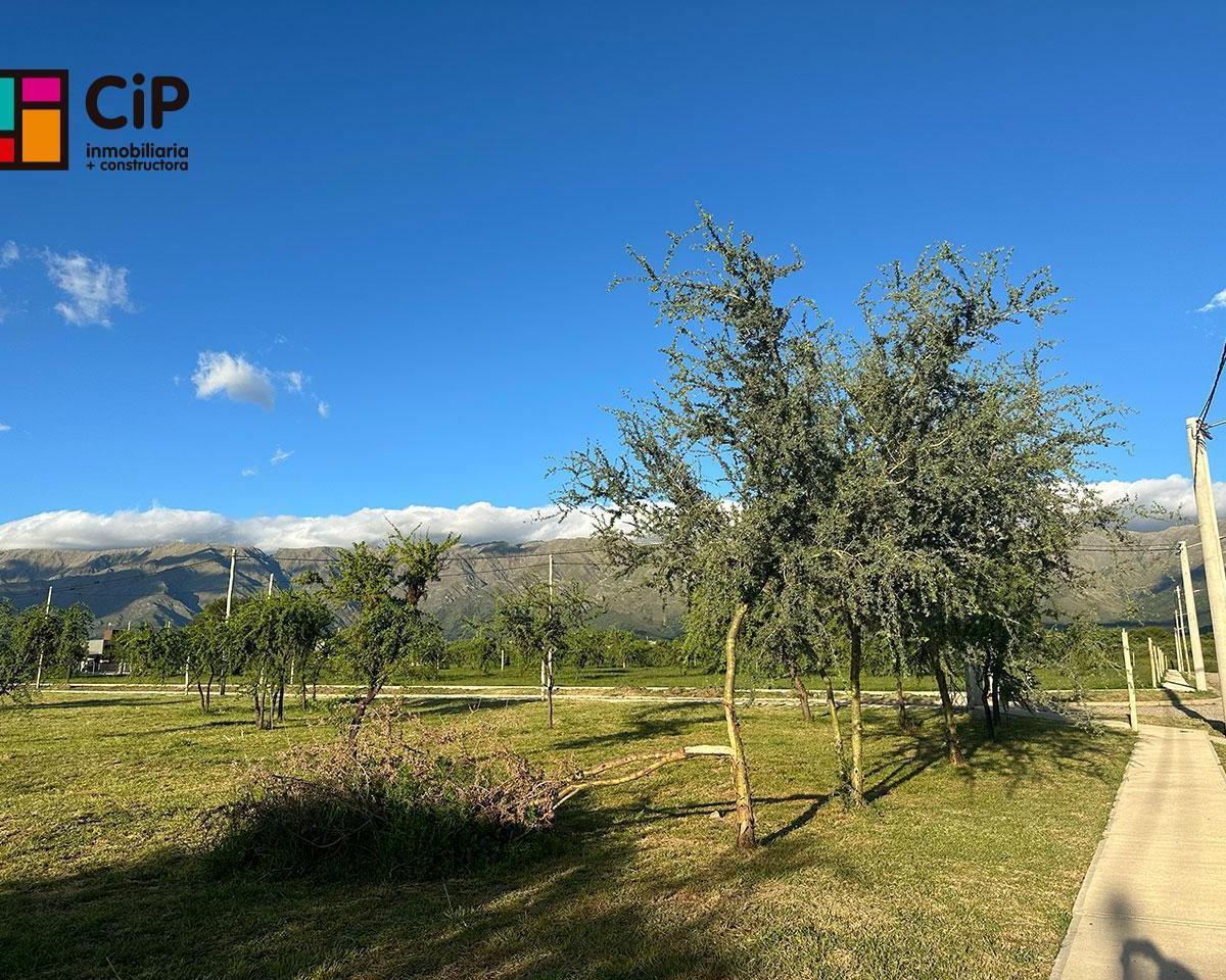 Terreno en La Arbolada 3
