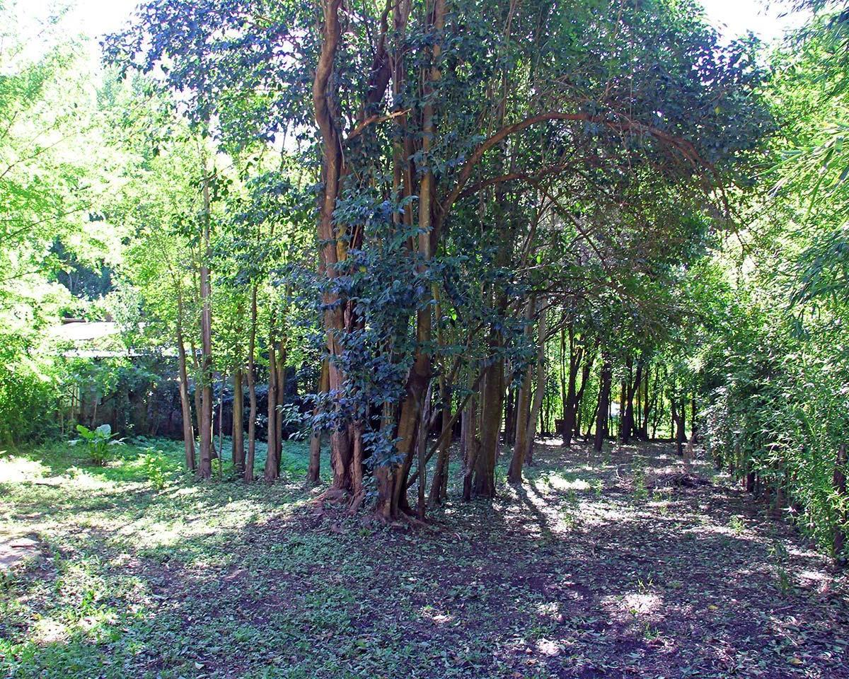 Casa en Venta a m del Balneario El Rincon Villa de Merlo San Luis 5