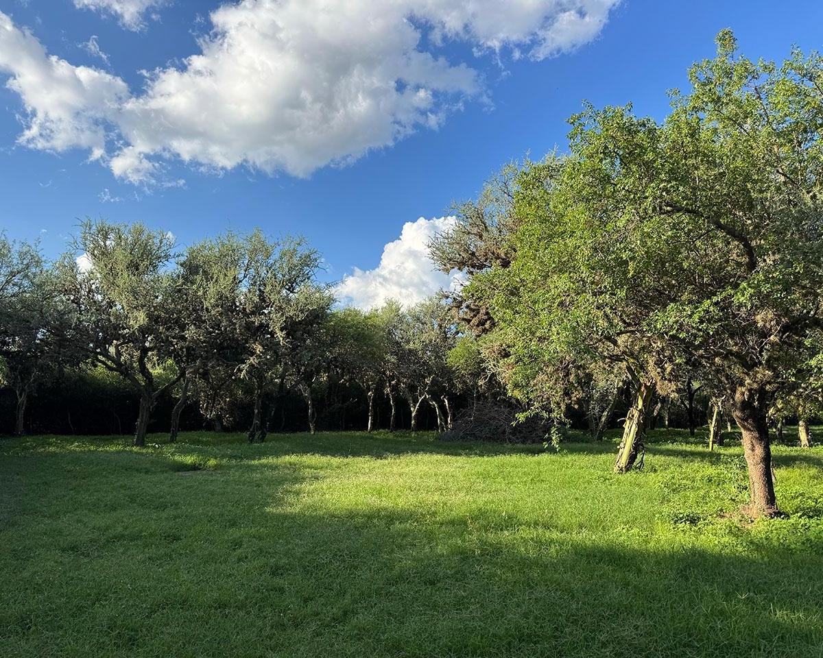 Lote FINANCIADO en Altos de Carpinteria