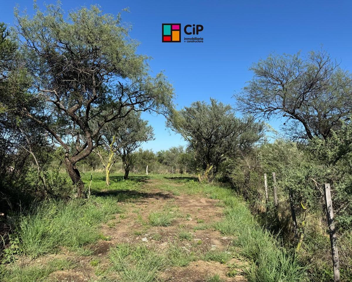 Galpón en Venta en Los Molles 3