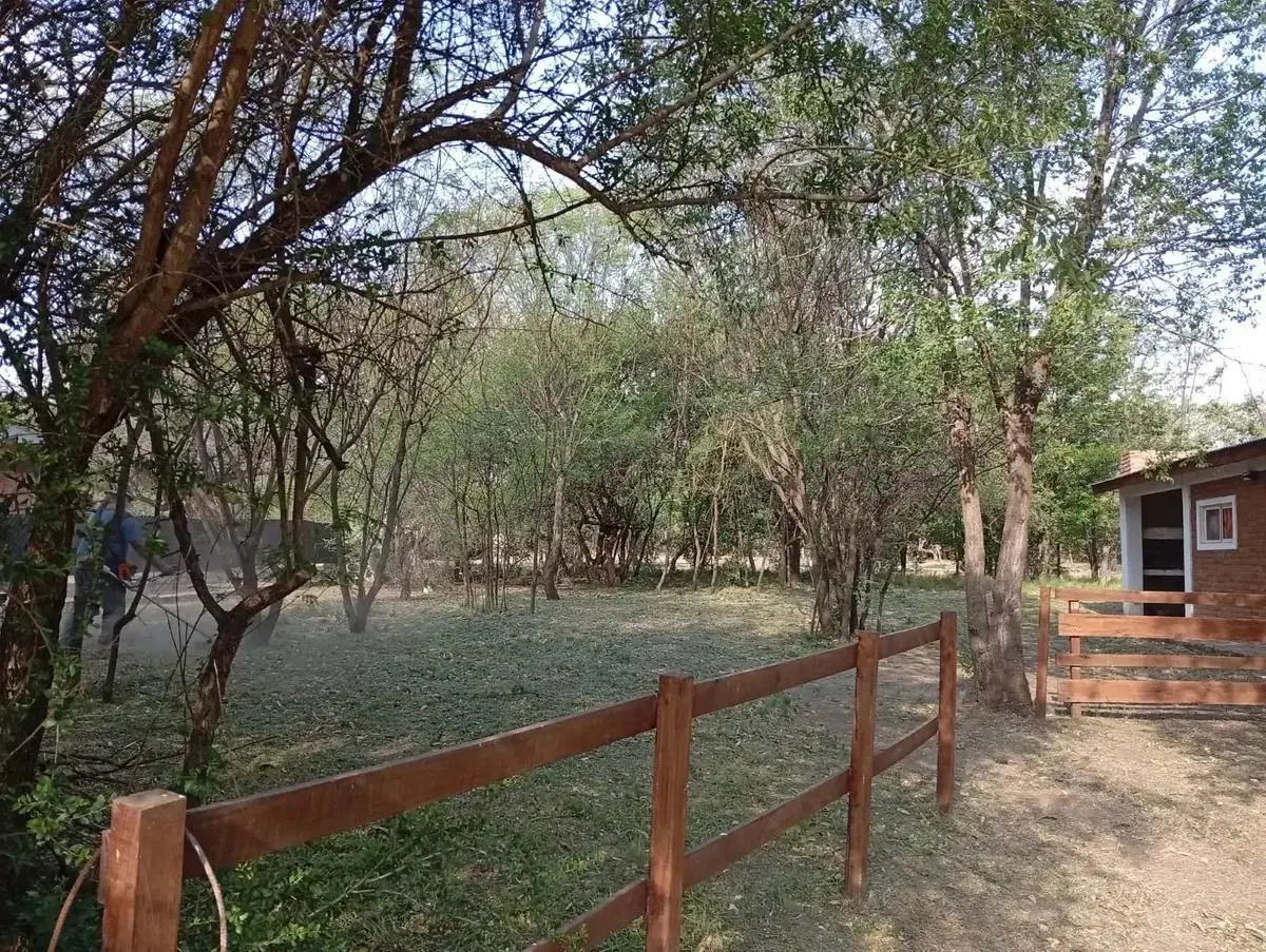 Casa En Venta En Carpintería 3