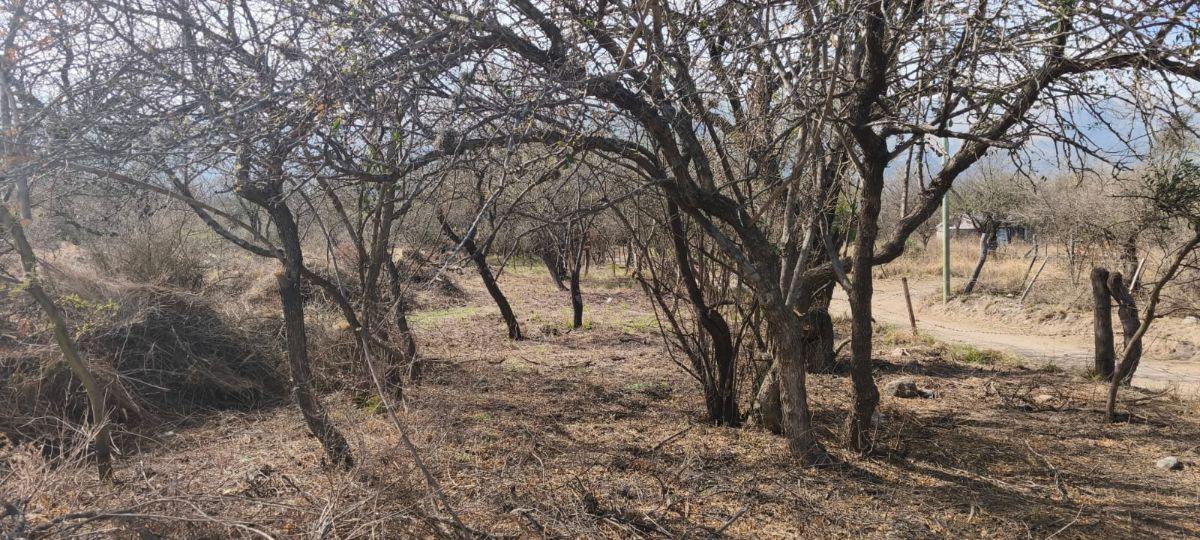 Foto de Terrenos de 1250 m² en venta en Carpintería. FINANCIACIÓN disponible, imagen 5