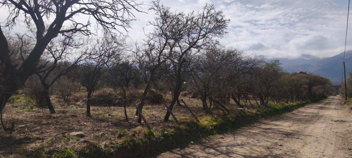 Foto de Terrenos de 1250 m² en venta en Carpintería. FINANCIACIÓN disponible, imagen 4