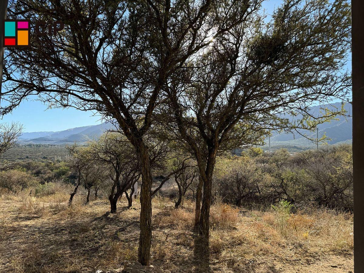 Foto de Venta de lotes en Cortaderas Loma India Lotes desmalezados y alambrados, imagen 3