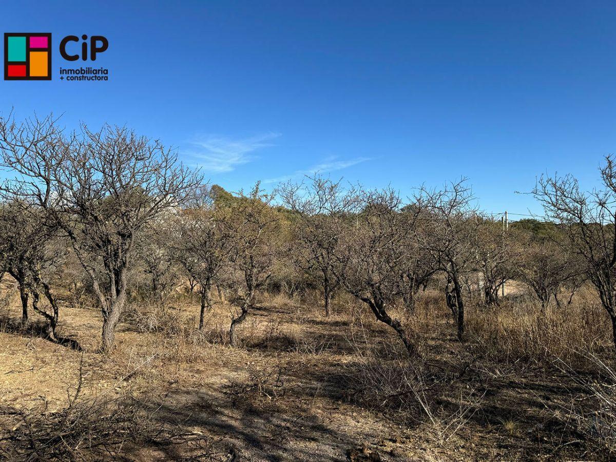 Foto de Venta de lotes en Cortaderas Loma India Lotes desmalezados y alambrados, imagen 1