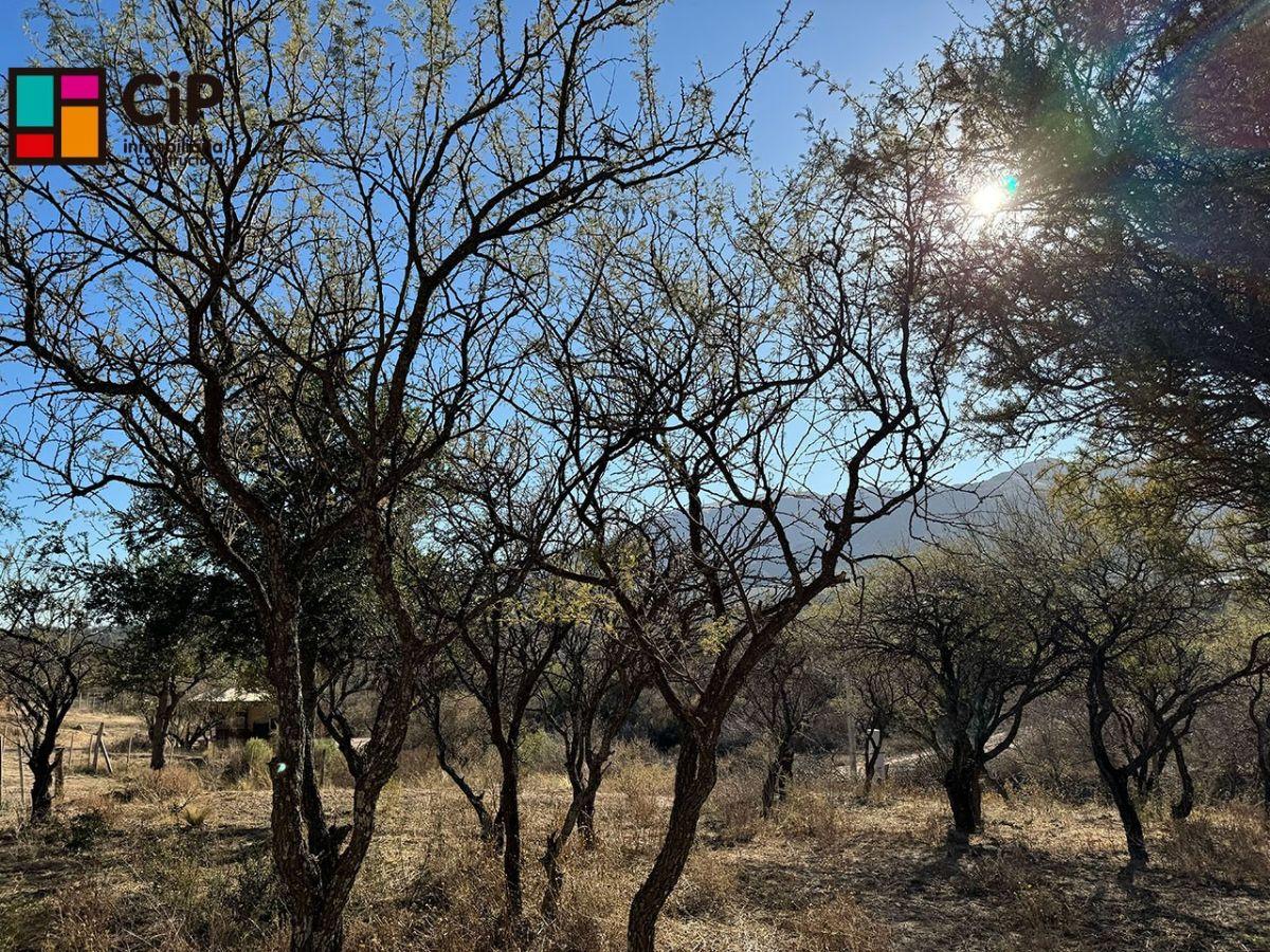 Foto de Venta de lotes en Cortaderas Loma India Lotes desmalezados y alambrados, imagen 5