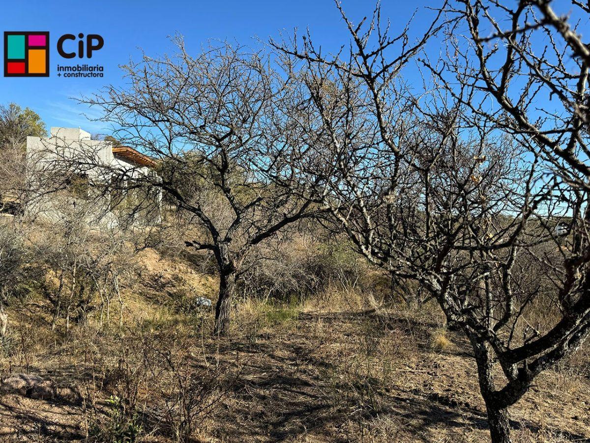 Foto de Venta de lotes en Cortaderas Loma India Lotes desmalezados y alambrados, imagen 2