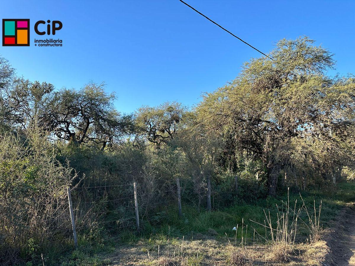 Foto de Venta de lote en Altos de Carpintería Oportunidad de Inversión, imagen 5