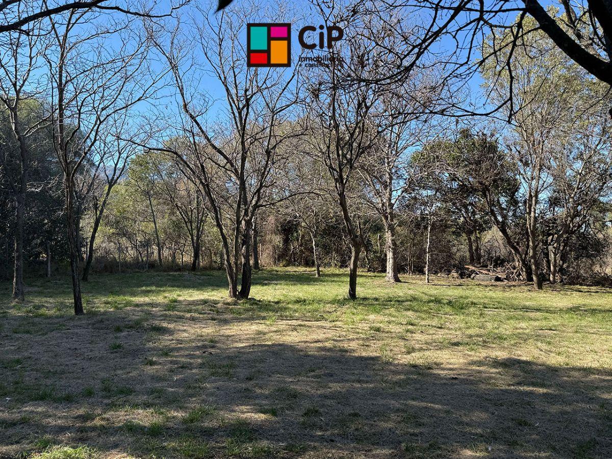 Foto de Casa en venta en Villa Elena, imagen 4