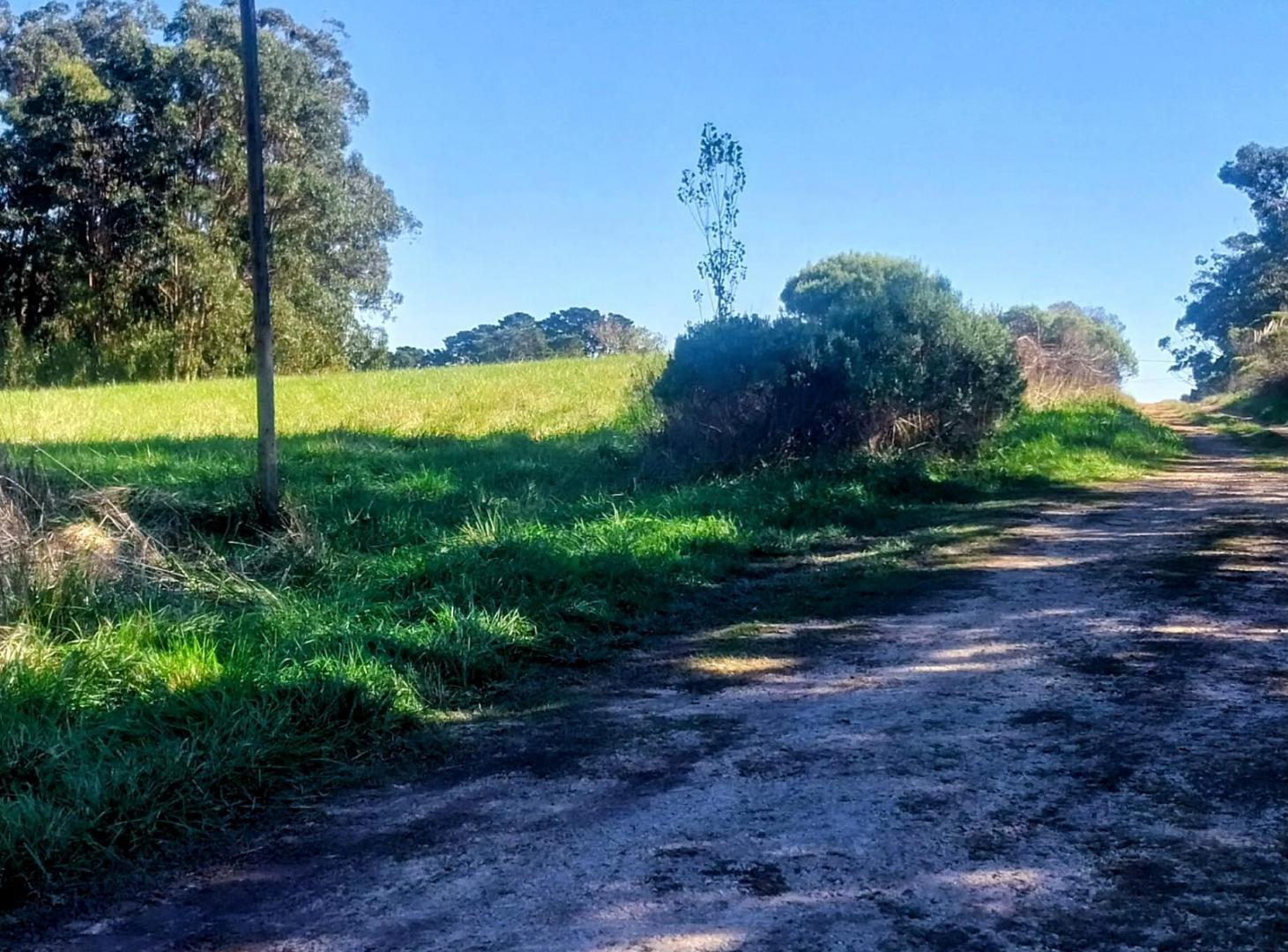 Foto de Lotes En Block - Santa Isabel - Chapadmalal- 200mts Mar Y Ruta 11, imagen 4