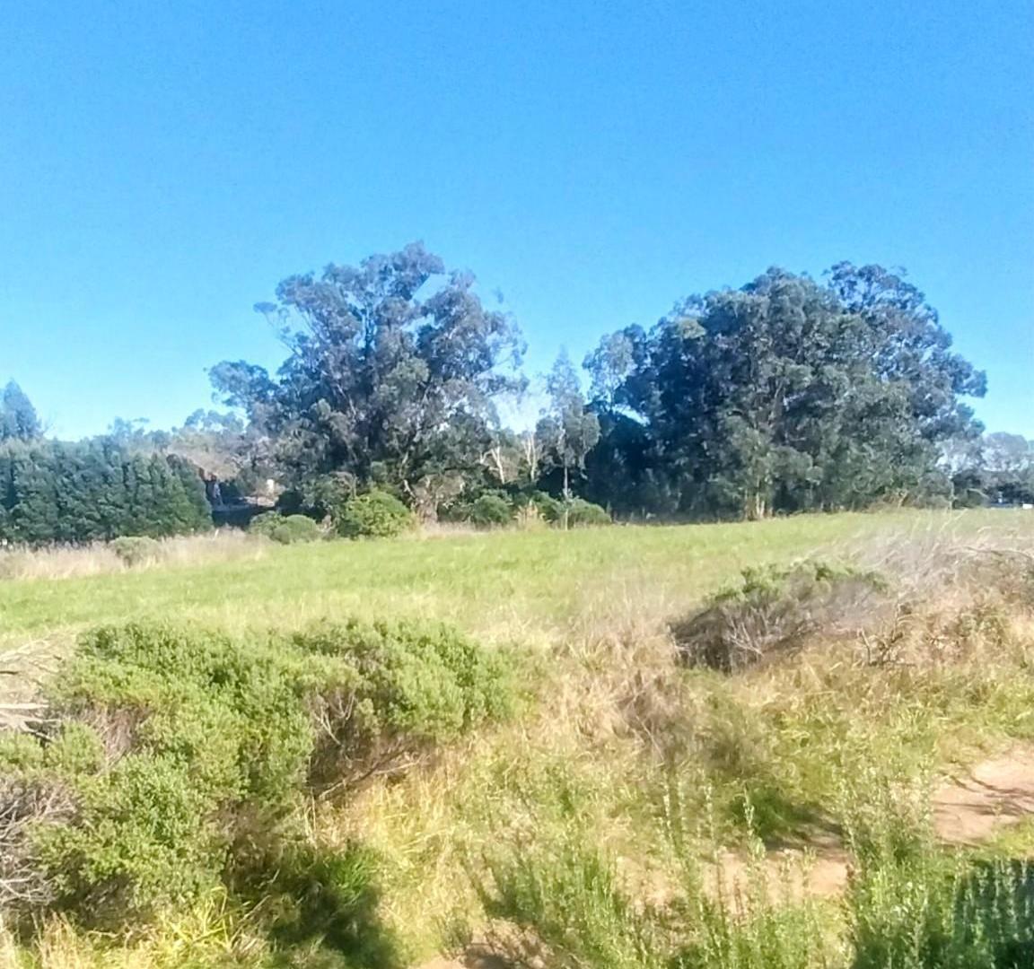 Foto de Se vende Lote En Block - Santa Isabel - Chapadmalal- 200mts Mar Y Ruta, imagen 3
