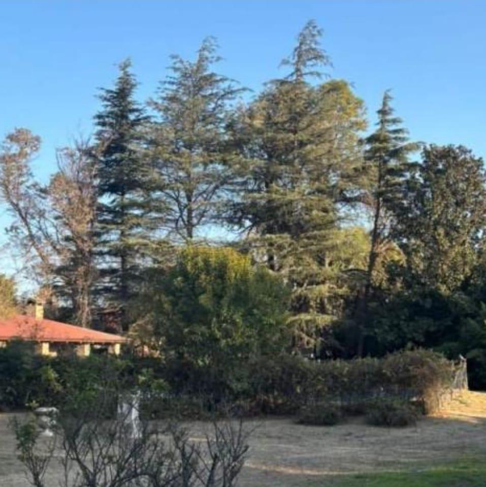 Foto de B° INAUDI - TERRENO - APTO HOUSING - VENTA, imagen 3