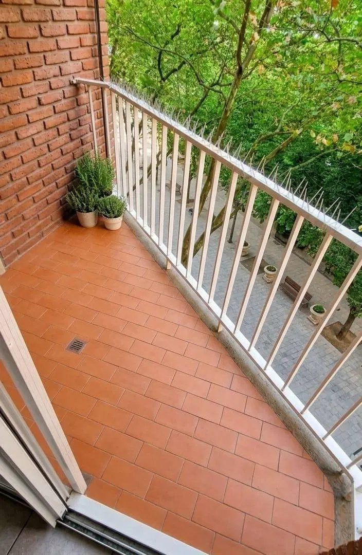 Departamento en Alquiler en Mar Del Plata 3
