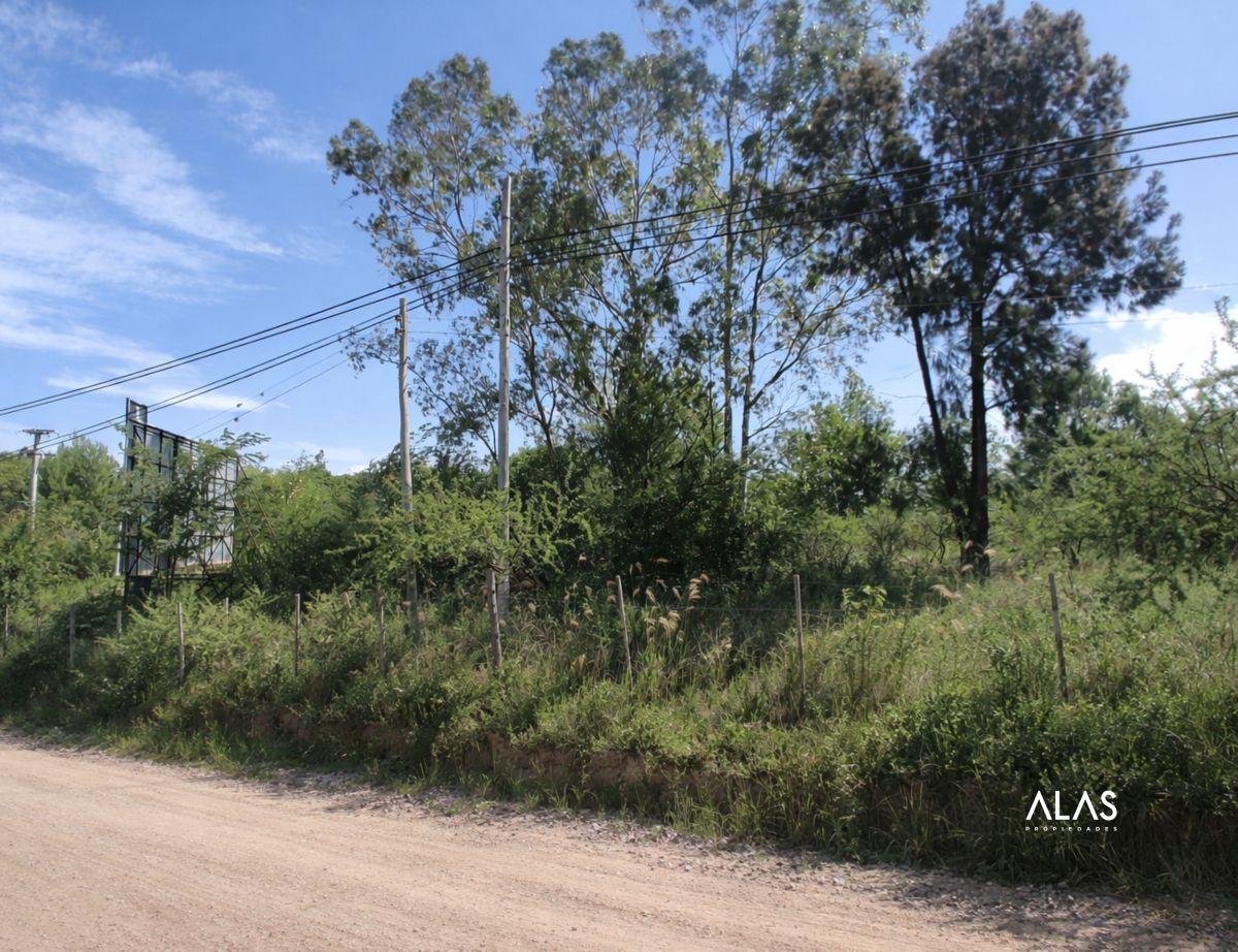 Foto de Lotes en venta - Sobre Ruta 38 - Casa Grande - B281, imagen 1