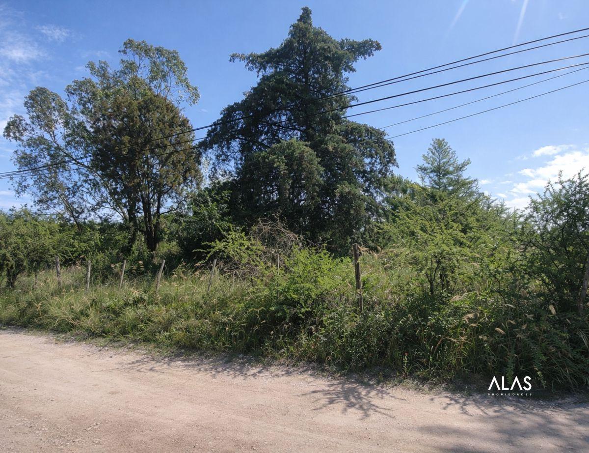 Foto de Lotes en venta - Sobre Ruta 38 - Casa Grande - B281, imagen 4