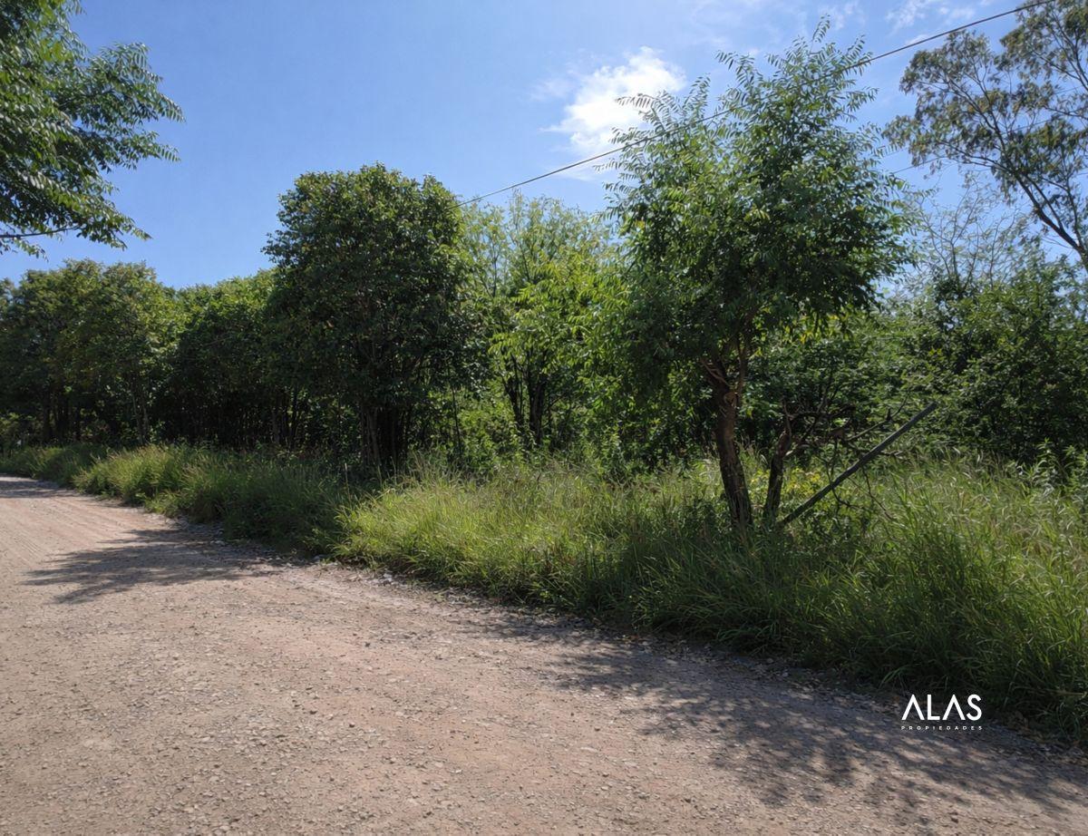 Foto de Lotes en venta - Sobre Ruta 38 - Casa Grande - B281, imagen 2