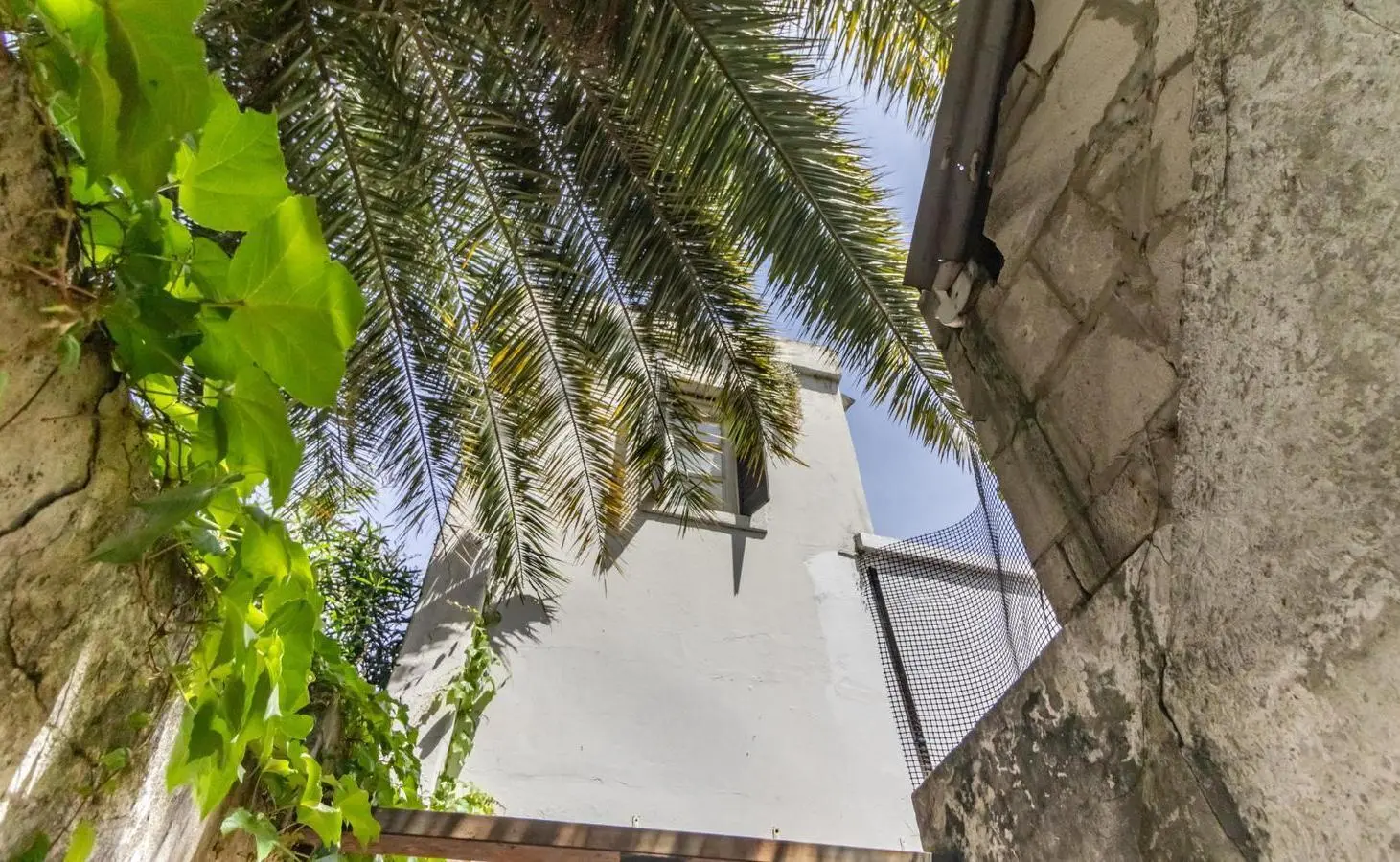 PH 3 amb con 2 patios y terraza propia Colegiales 5