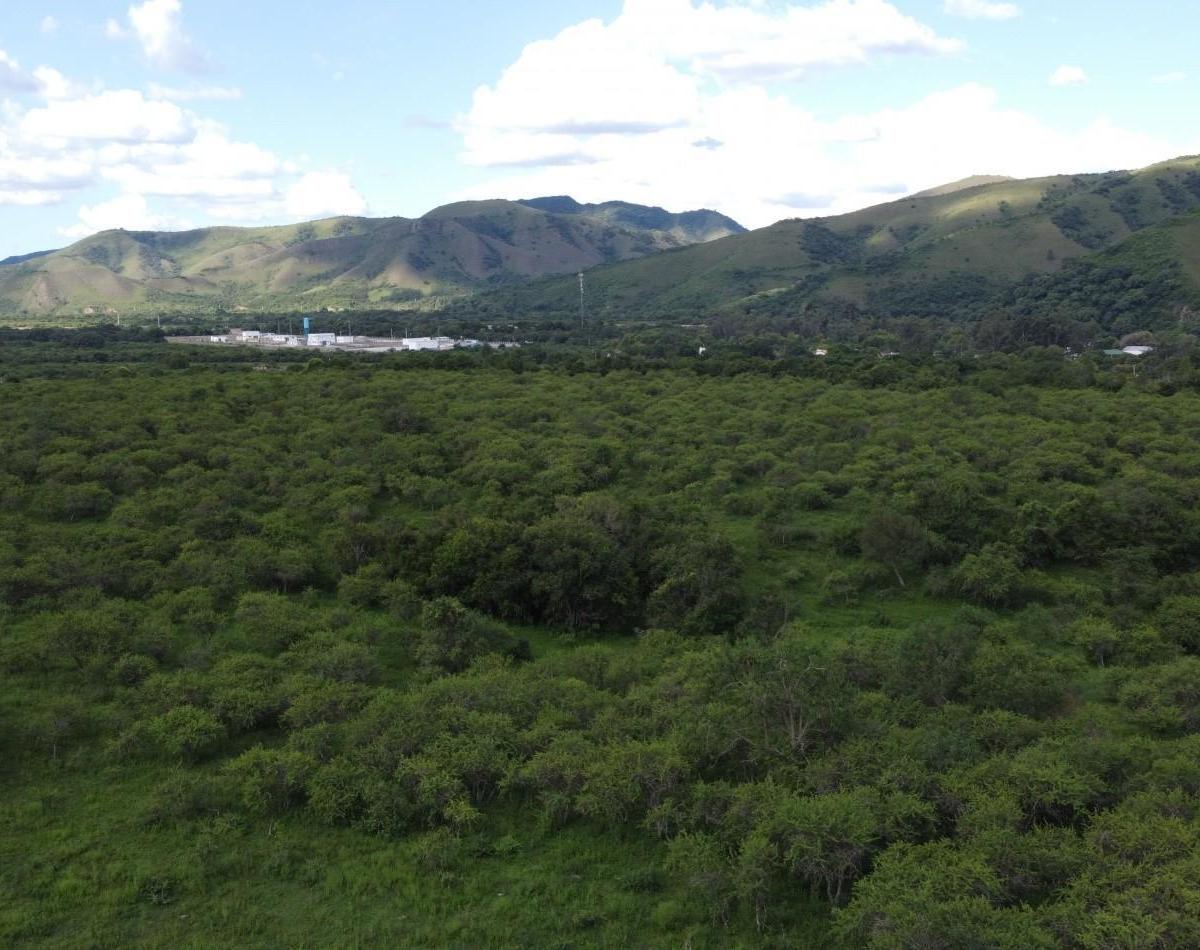 La Caldera 30 Ha [ Ser Dueño [ 2