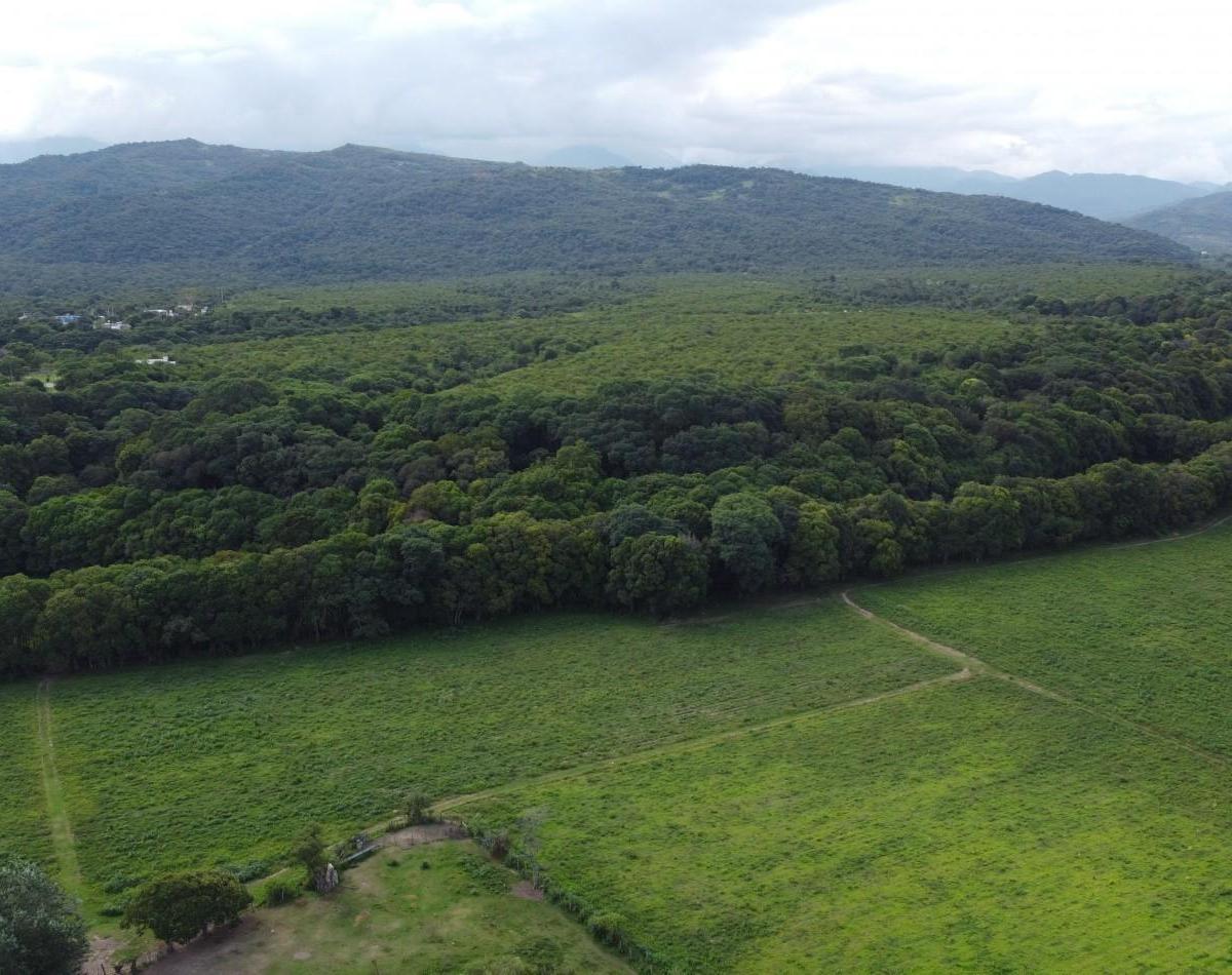 La Caldera 30 Ha [ Ser Dueño [ 3