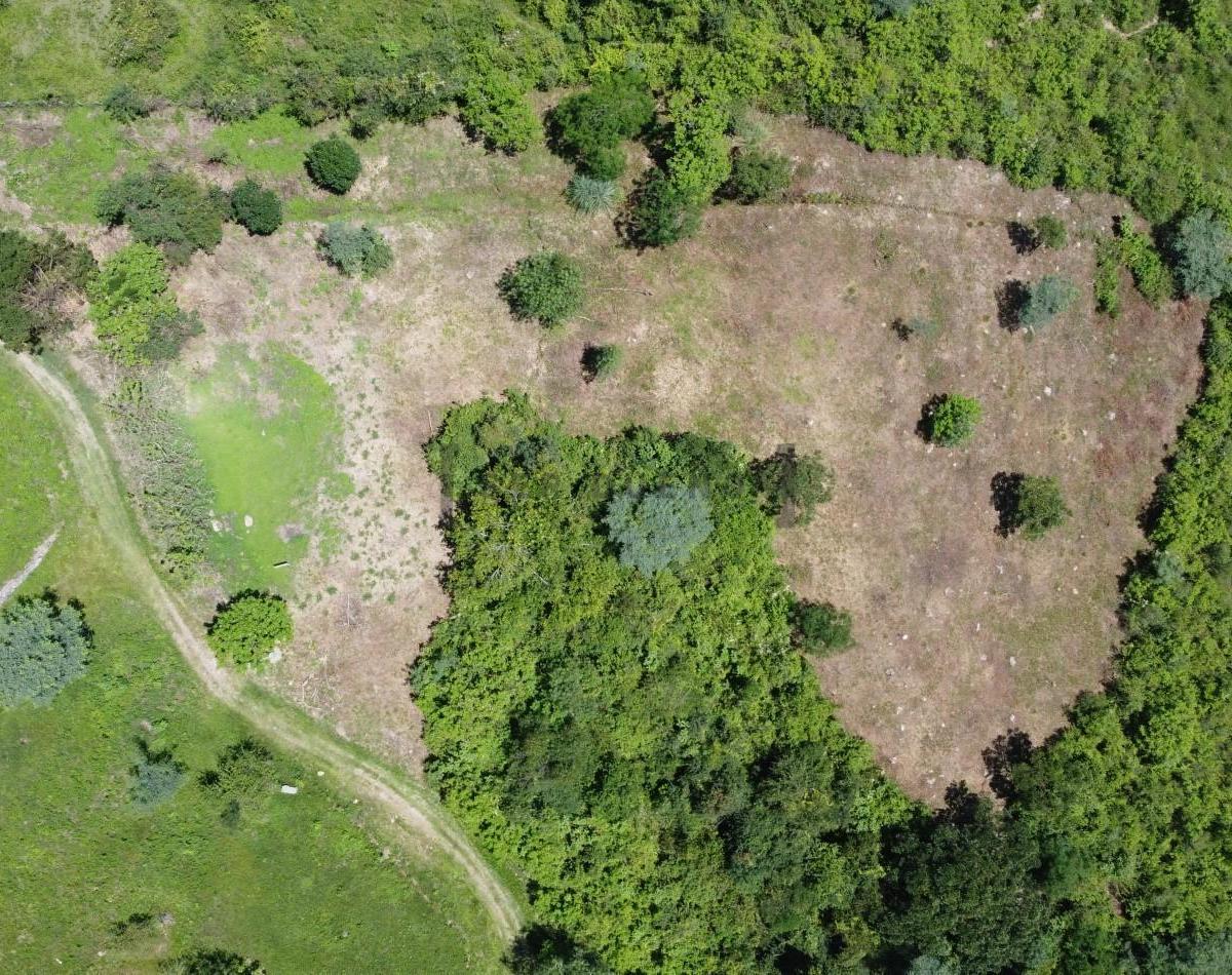 La Hoyada de Castellano Lote 3855 m2 Venta [ SER DUEÑO ]