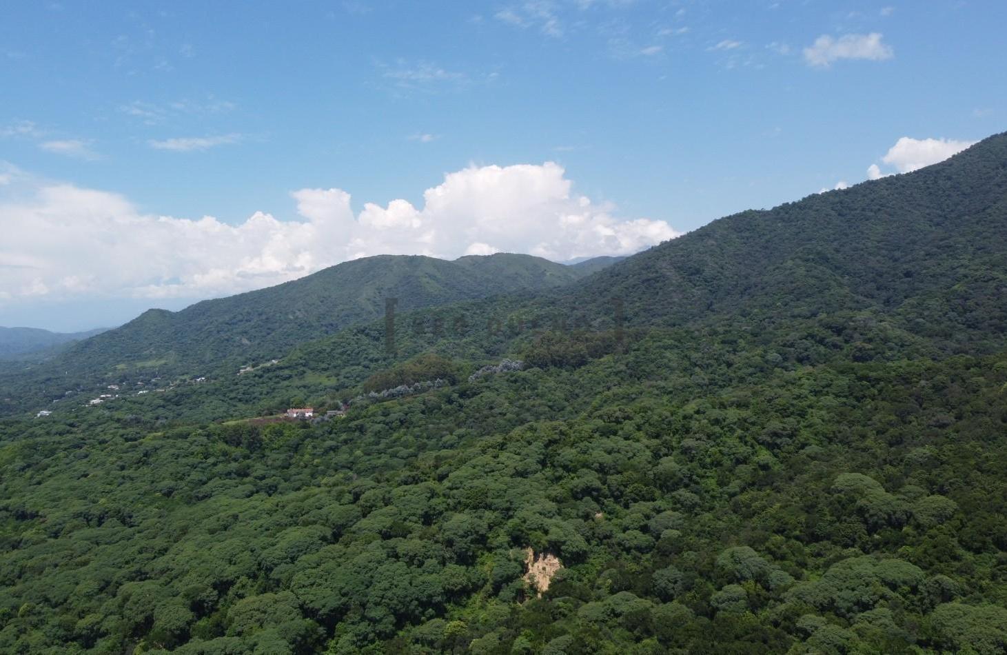 Foto de San Lorenzo camino a Castellano, Lote 1678 m2 [ SER DUEÑO ], imagen 4