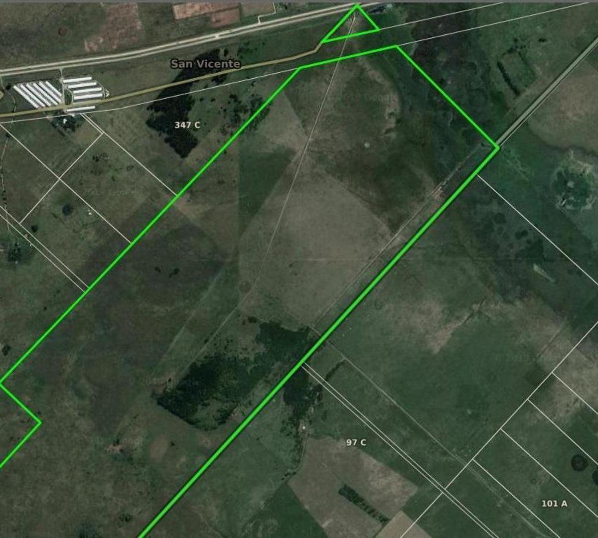Foto de CAMPO DE 360 HAS CON FRENTE SOBRE RUTA 6, imagen 4