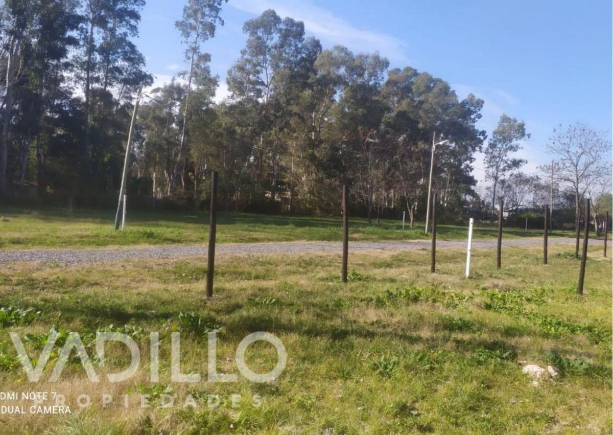 Foto de Loteo en San Vicente, Oportunidad!!, imagen 3