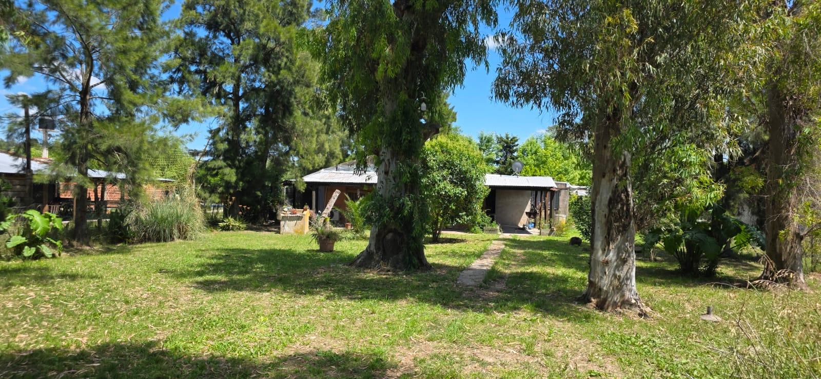 HERMOSO LOTE FORESTADO CON CASA DE DOS DORMITORIOS EN SAN VI